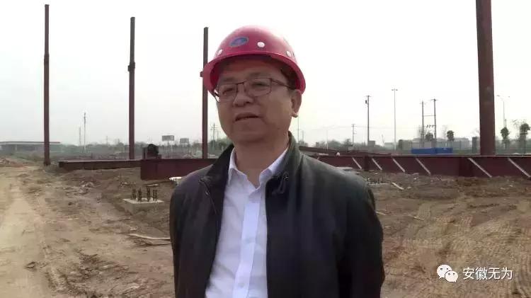 安徽省无为市比亚迪老总王传福,王传福老家是无为哪个镇人