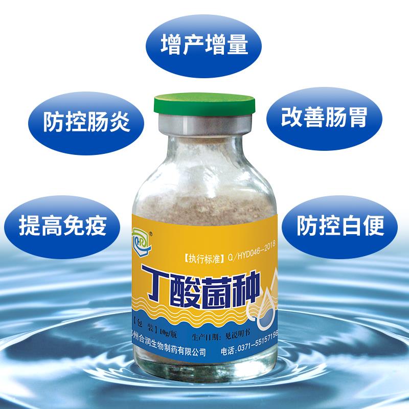 河蟹烂肢病怎么治疗,河蟹黑鳃病的原因及治疗方法