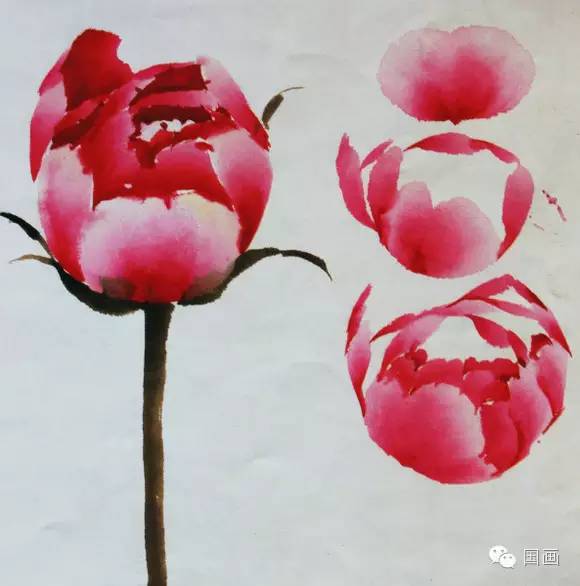 张克申写意牡丹画法教程,邵丹写意牡丹各阶段画法