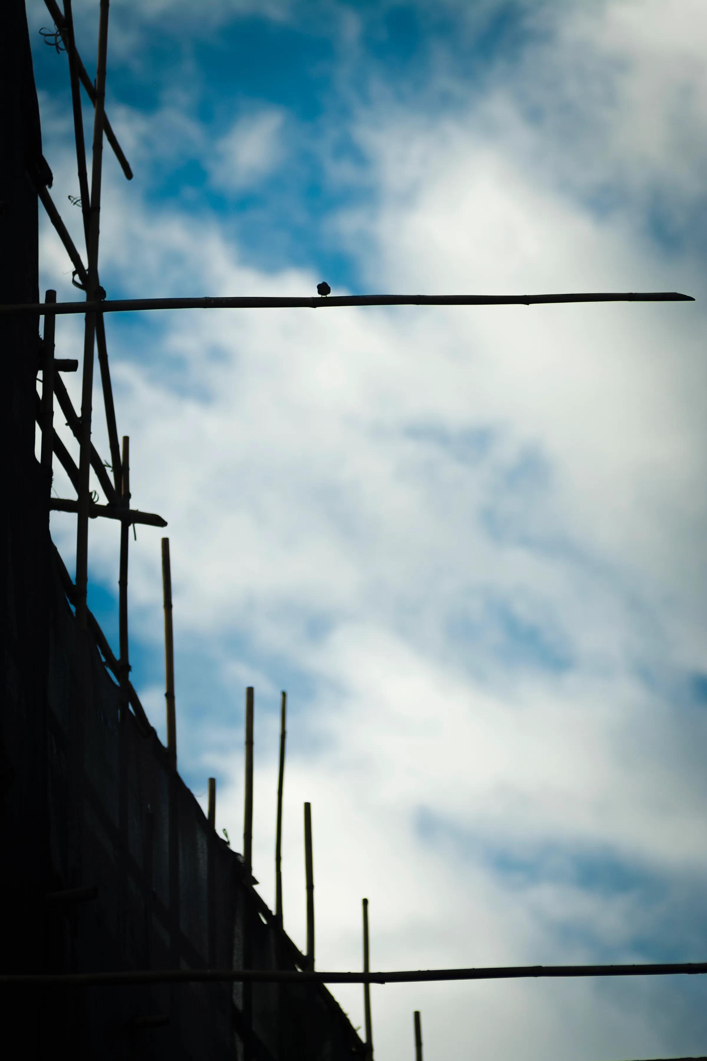 莱卡跟尼康怎么选,徕卡90mmf2.8