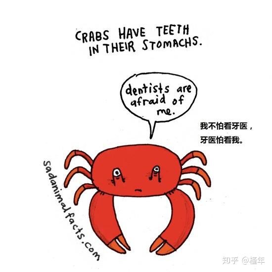 想象中不一样的动物冷知识,悲伤的动物视频