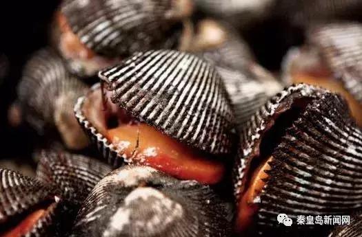 秦皇岛美食排行榜前十名海鲜,秦皇岛最好的海鲜自助餐厅排名榜