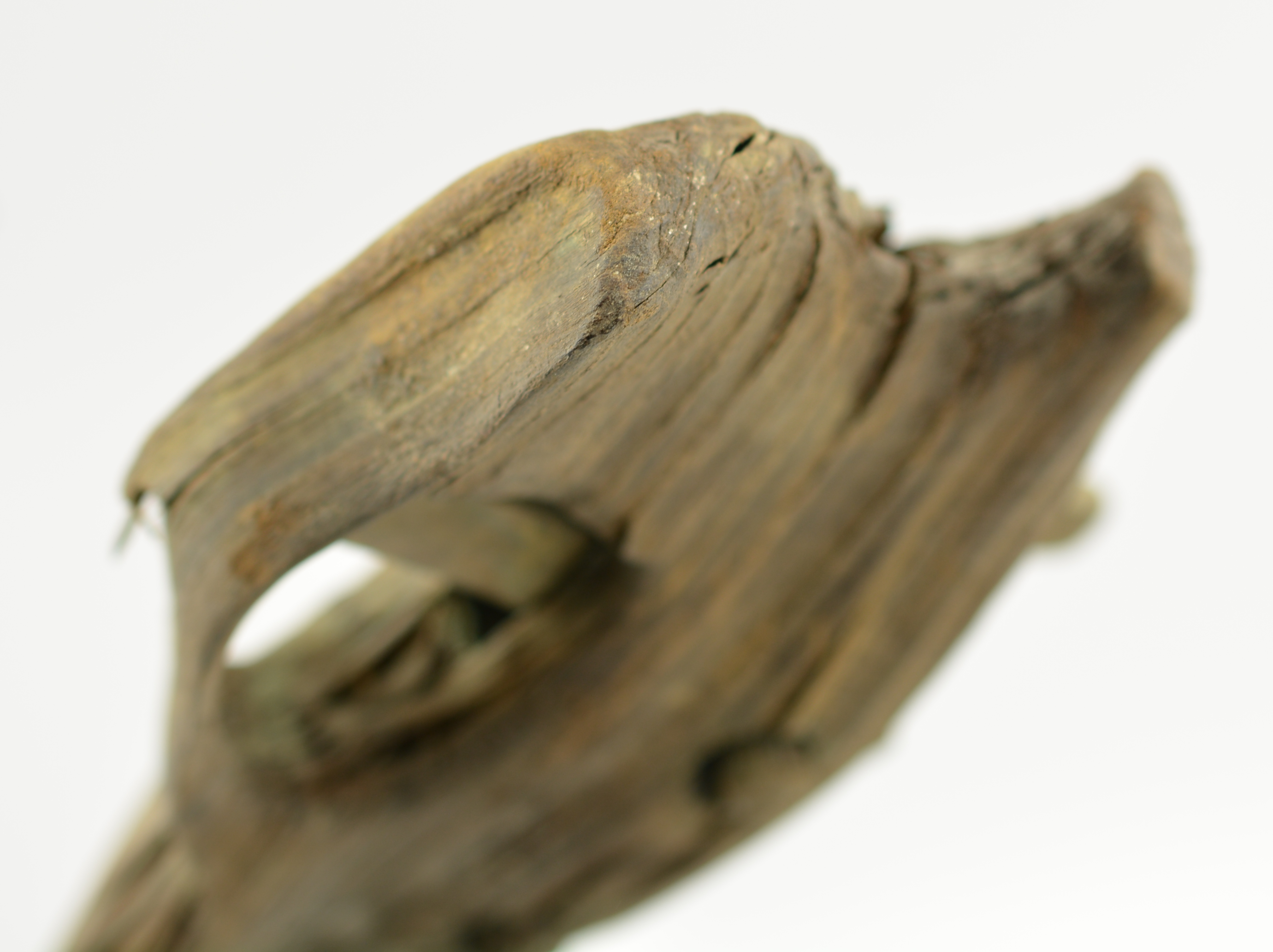 秦弩和现代步枪,中式武器步枪现代