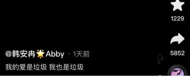 韩安冉整容失败案例,韩安冉整容教科书