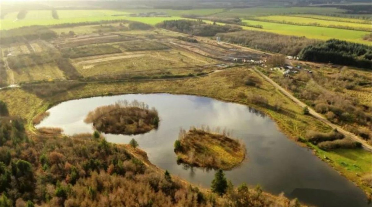 丹麦水貂感染新冠病毒,丹麦水貂感染新冠