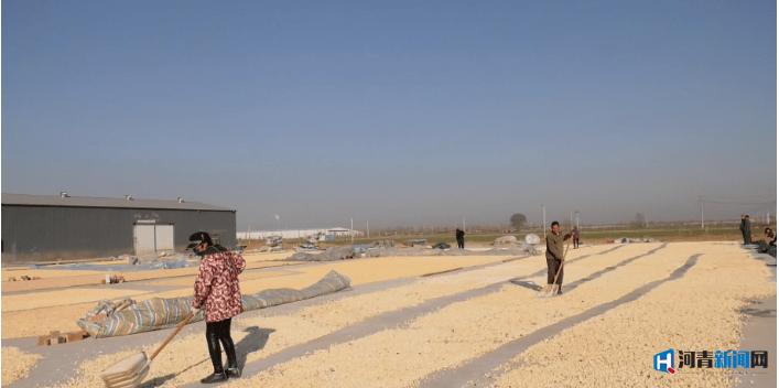 邢台南和农业有什么致富路 (邢台市中药材种植扶持力度)