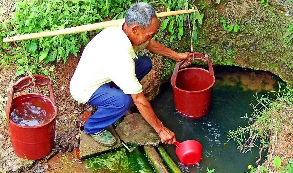 井水和自来水打农药哪个效果好,井水打药药效真的会减半么