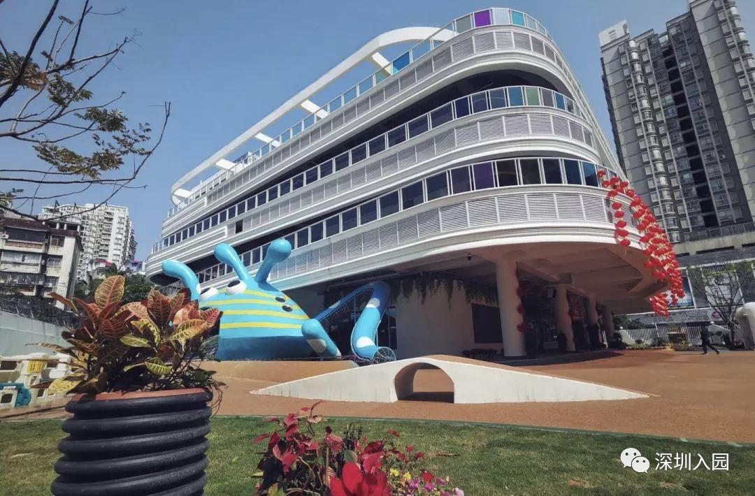 深圳高端幼儿园是哪些,深圳光明高端幼儿园