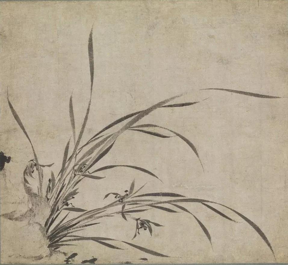 国画兰花加花瓶作品欣赏图片,五幅古代名家笔下的国画兰花欣赏