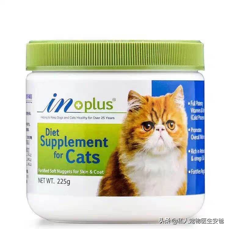 安爸告诉您毛发不好的猫咪可以吃这5种食物护理