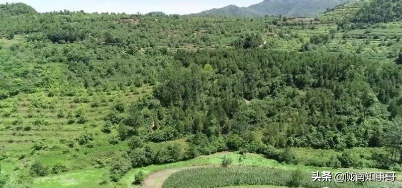 事业爱情双丰收短片,事业与爱情双丰收