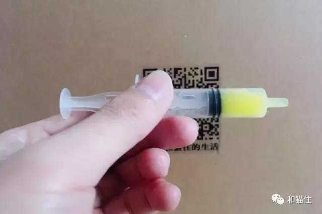 猫咪呕吐拉稀去医院治疗没有好转,猫咪呕吐不要着急