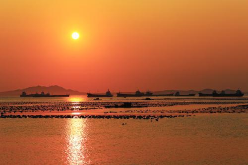 零基础学淘宝美工要多久,电商美工零基础入门两个月靠谱吗