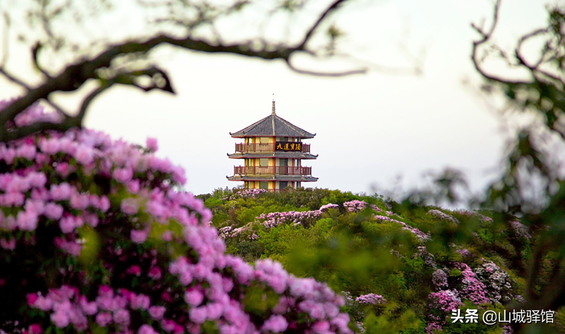 重庆南川沙滩峡谷露营,南川金佛山耍水露营地