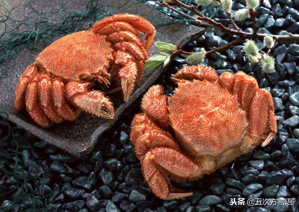 青岛市场帝王蟹种类,海鲜市场都有什么海蟹品种