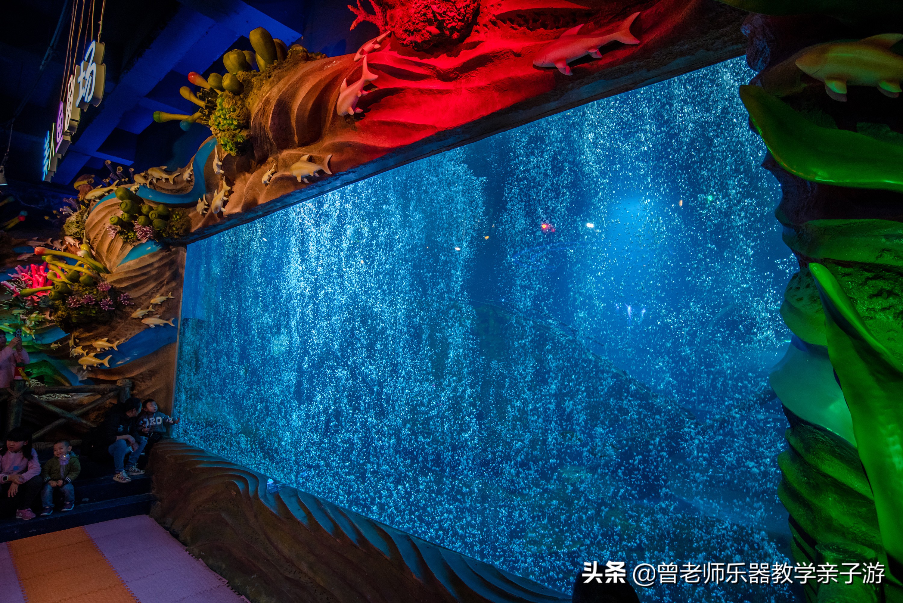 西安海洋公园海豚表演,西安太奥海洋馆