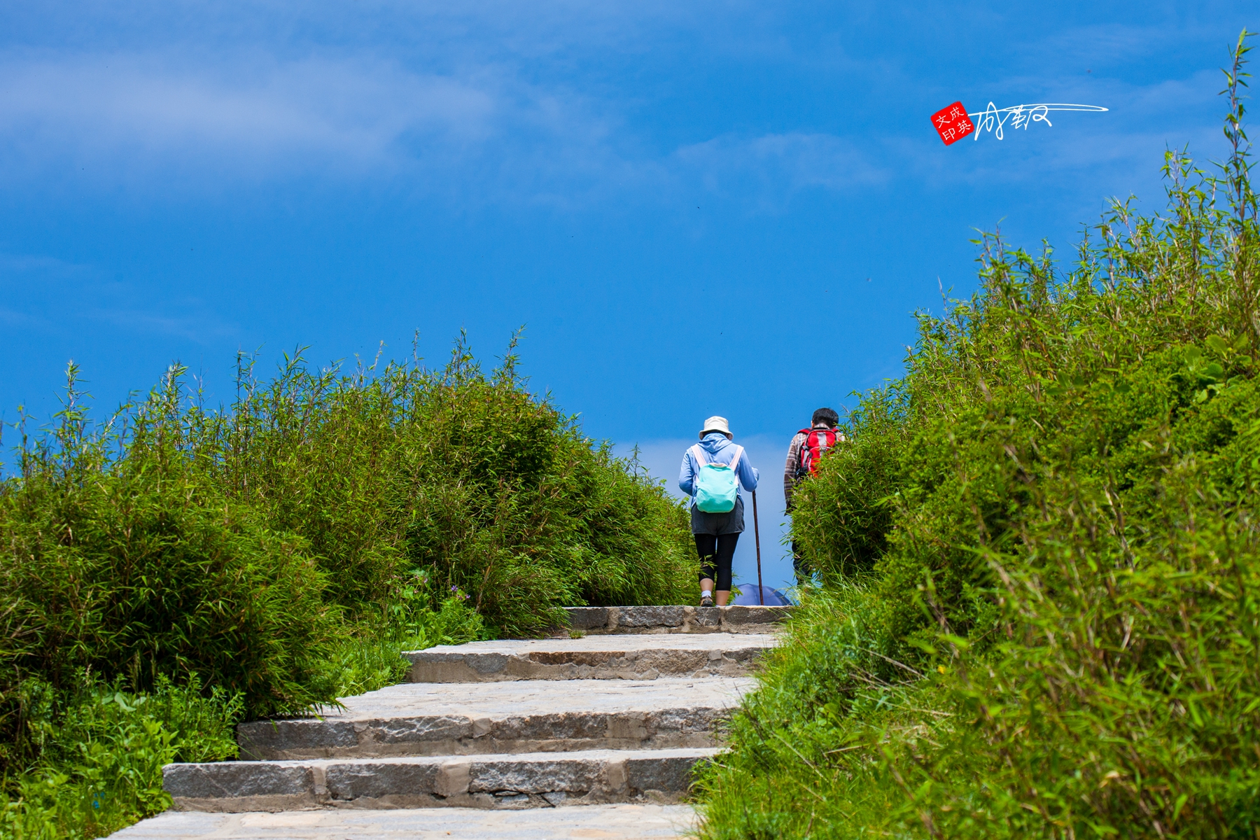 佳能1ds3还值得入手吗,佳能1ds3深度评测