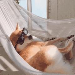 生图杀手倪妮的心机真的没“白费”