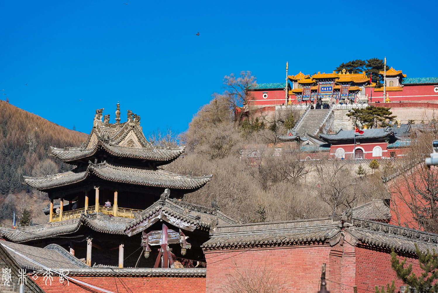 文殊菩萨的道场是哪个佛教名山,藏传佛教文殊菩萨庙