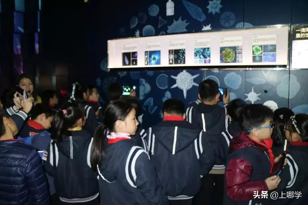 杨浦区小学对口地段,杨浦2022小学招生对口地段