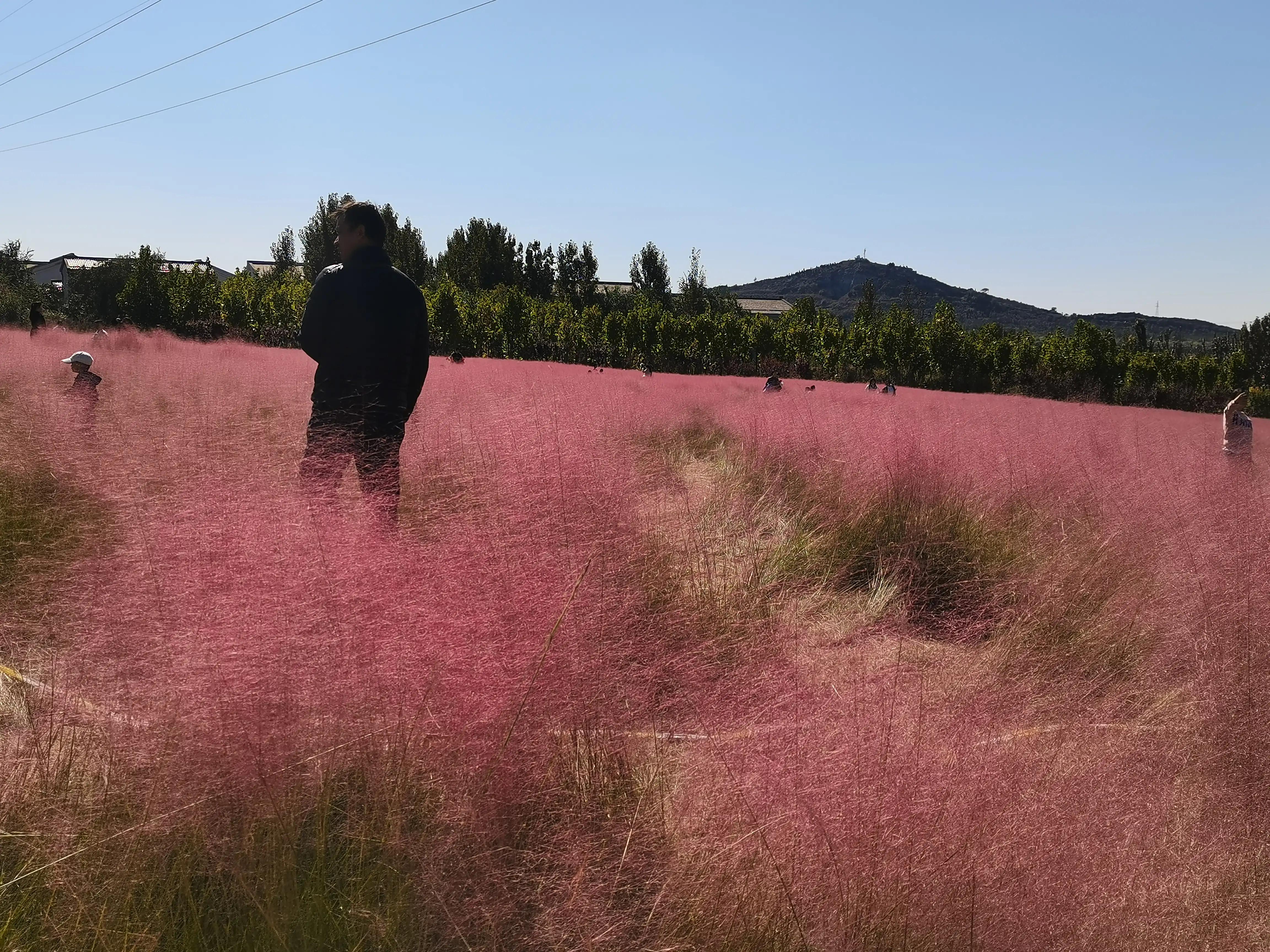 金秋十月登上山顶看美景,花山国家森林公园游记