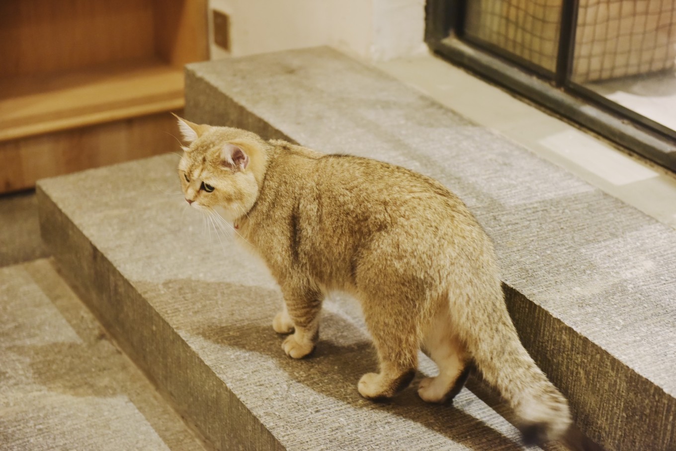 绿色世界花的海洋，在十里芳菲宠爱自己的24小时