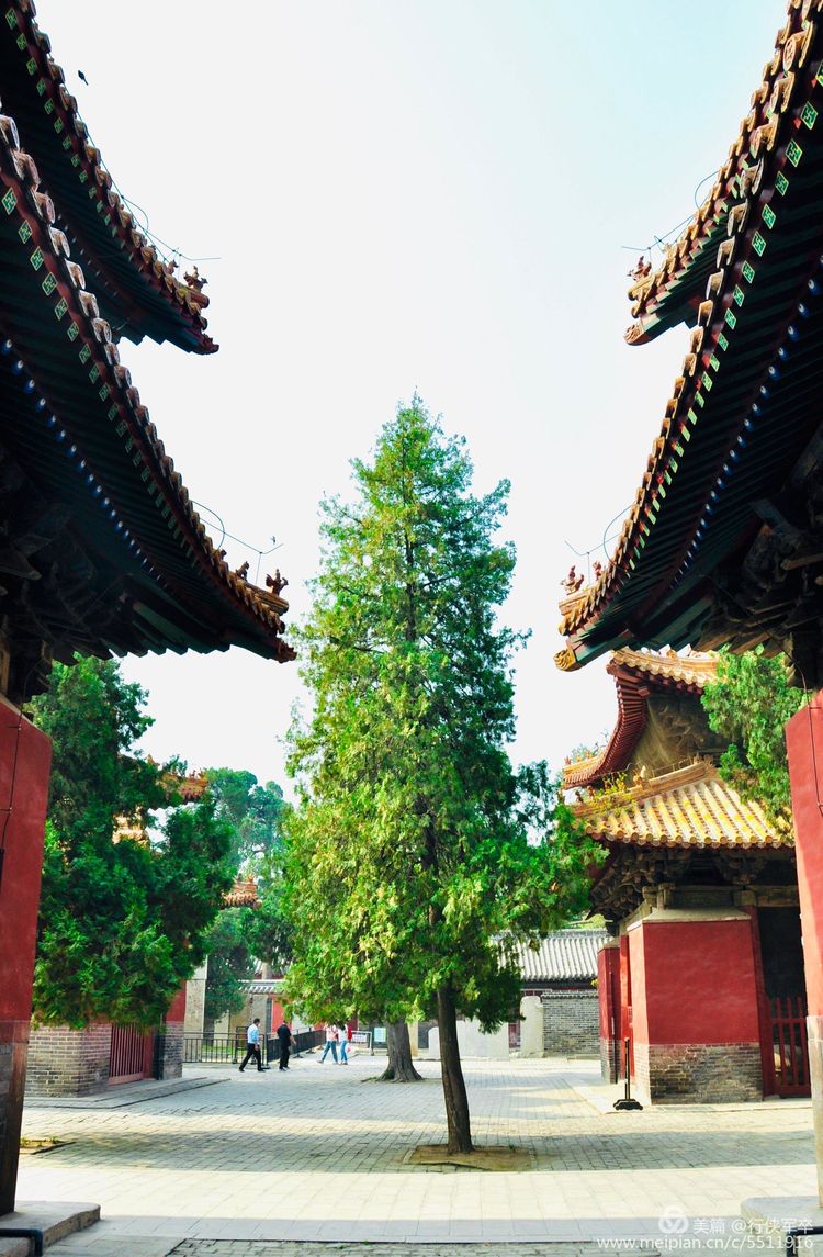 曲阜孔庙走马观花,曲阜孔庙朝圣