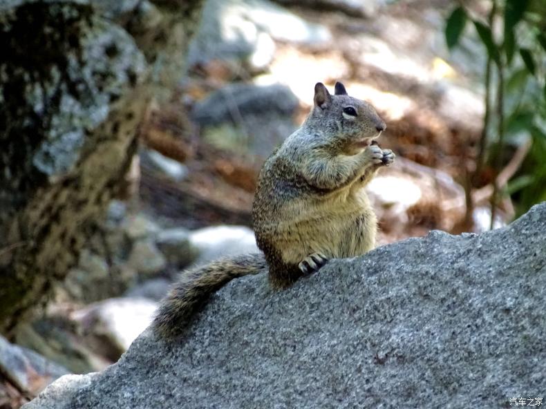 美国加州优胜美地国家公园,美国最美公园