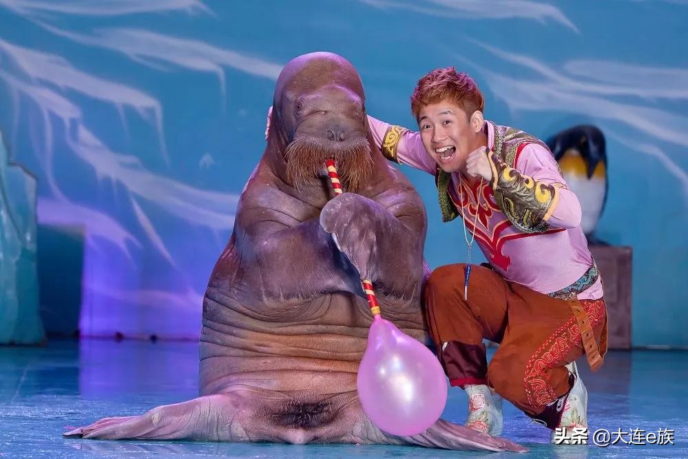 2022灵山春节免费景点,1月份哪些景点免费