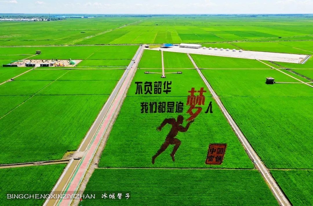 再返富锦，为着那份飘着稻花香的“湿”意约定