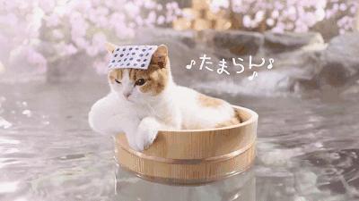 汤泉良子汤泉亚运村店团购,汤泉良子平日单人汤泉门票