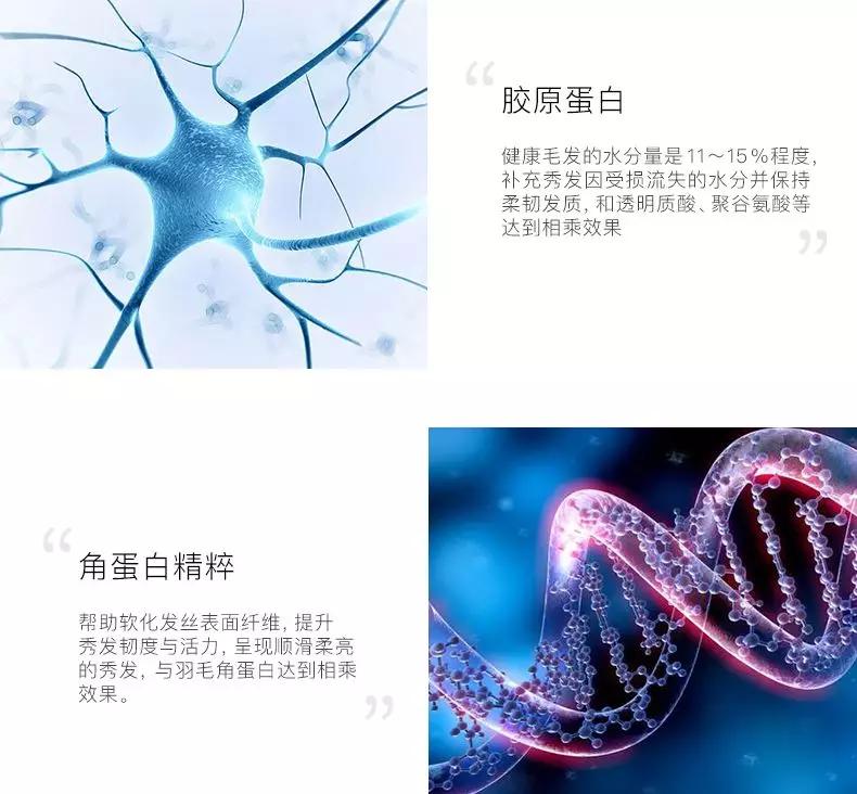 毛发分叉易断怎么办,毛发开叉变白