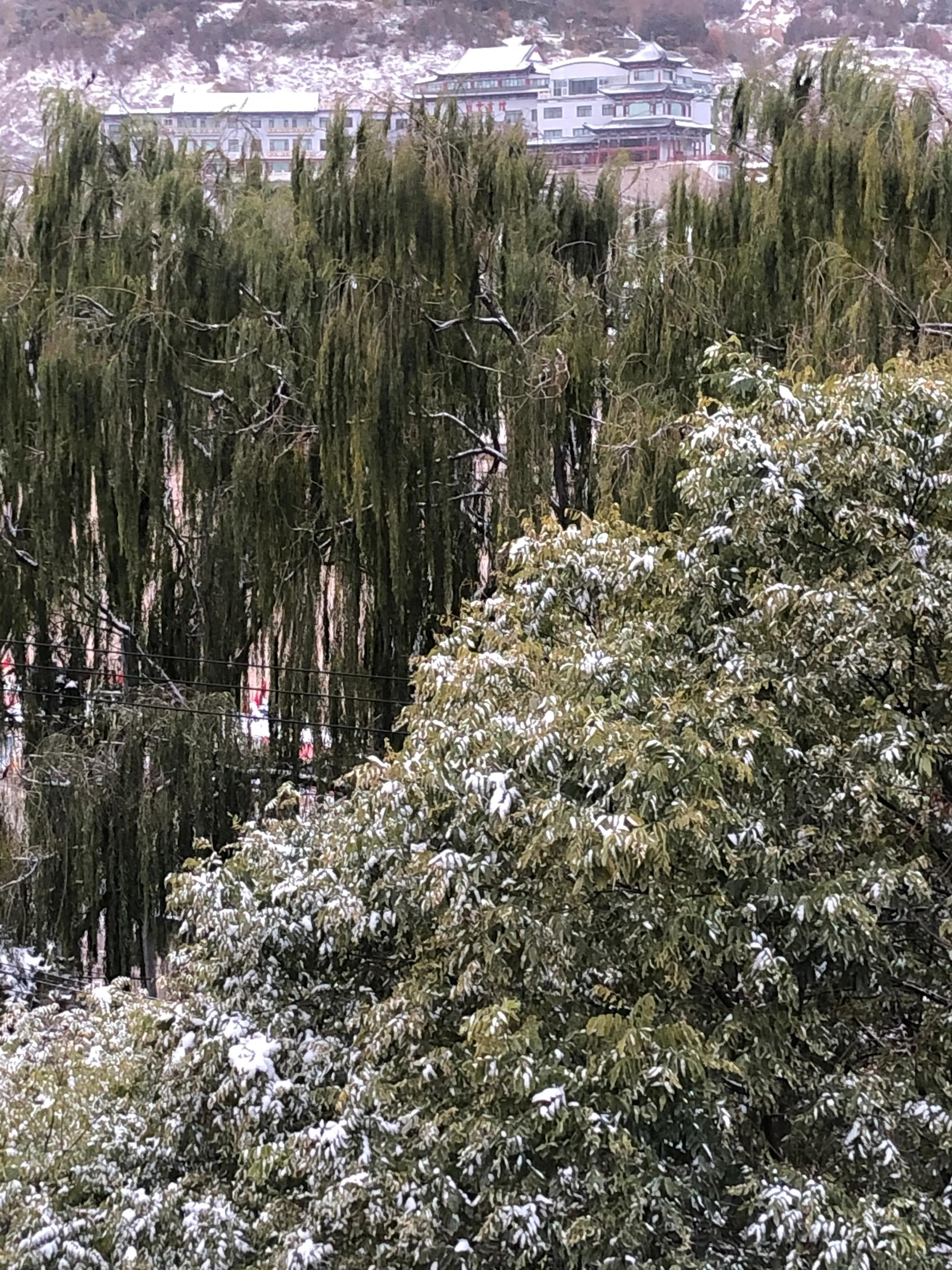 愿山河无恙人间皆安志愿者,愿山河无恙你我皆安配音