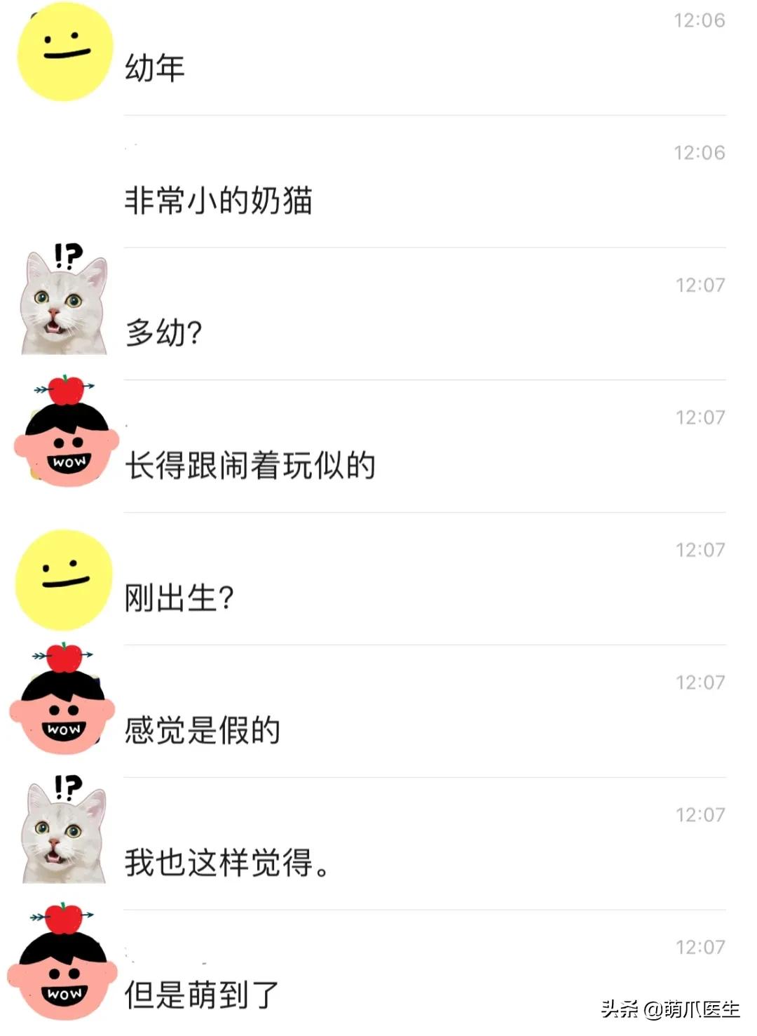 x光猫爪辟谣,猫爪x光是真的吗