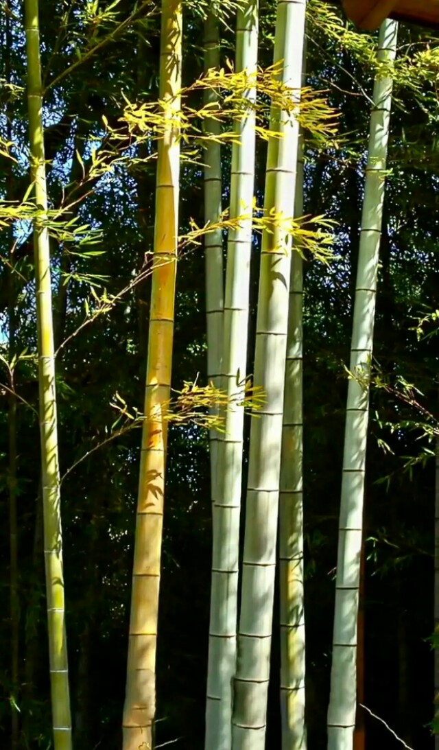 难忘过去，常忆往事：“我与表姑的故事”