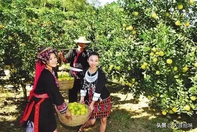 海南最美的5个小镇,海南最美的十个县