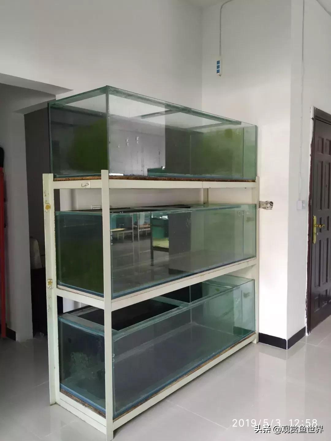 梦想的三湖世界持续建设中……方位:中国天津