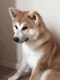 我的世界恐怖照片,我的世界丢脸表情