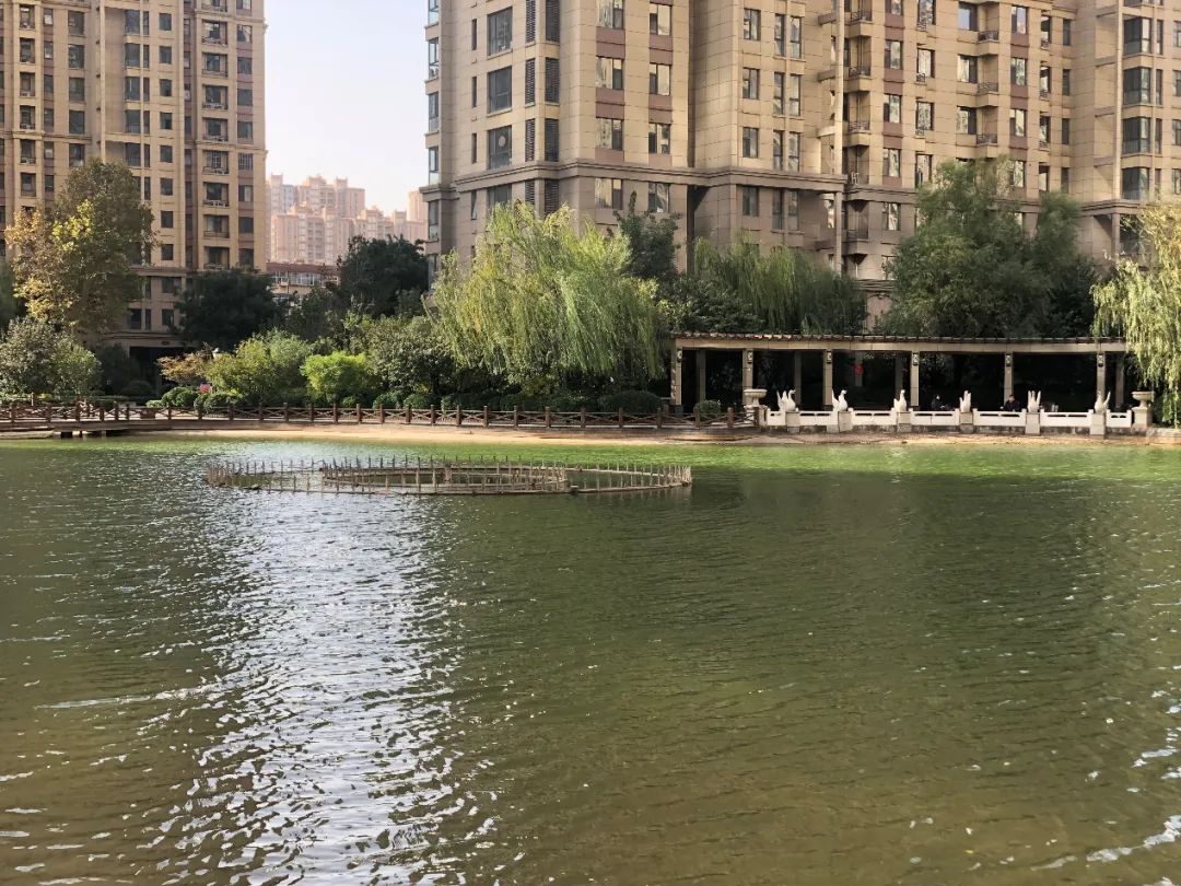 石家庄高新区最值得买的盘,实探一线湖景房