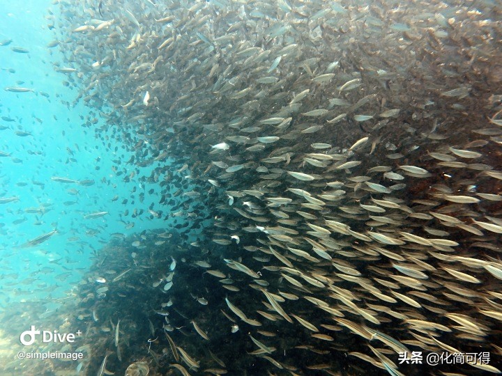 600元玩转澳门三天两夜全攻略,5000块钱玩菲律宾六个海岛