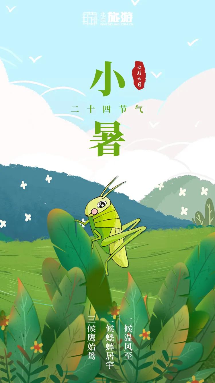 小暑福利活动,今日小暑暑热来袭如何觅得清凉