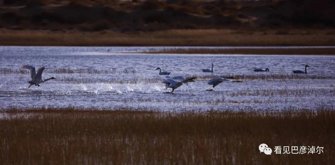 七分钟带你领略大美乌拉特前旗 (带你去看乌拉特前旗)