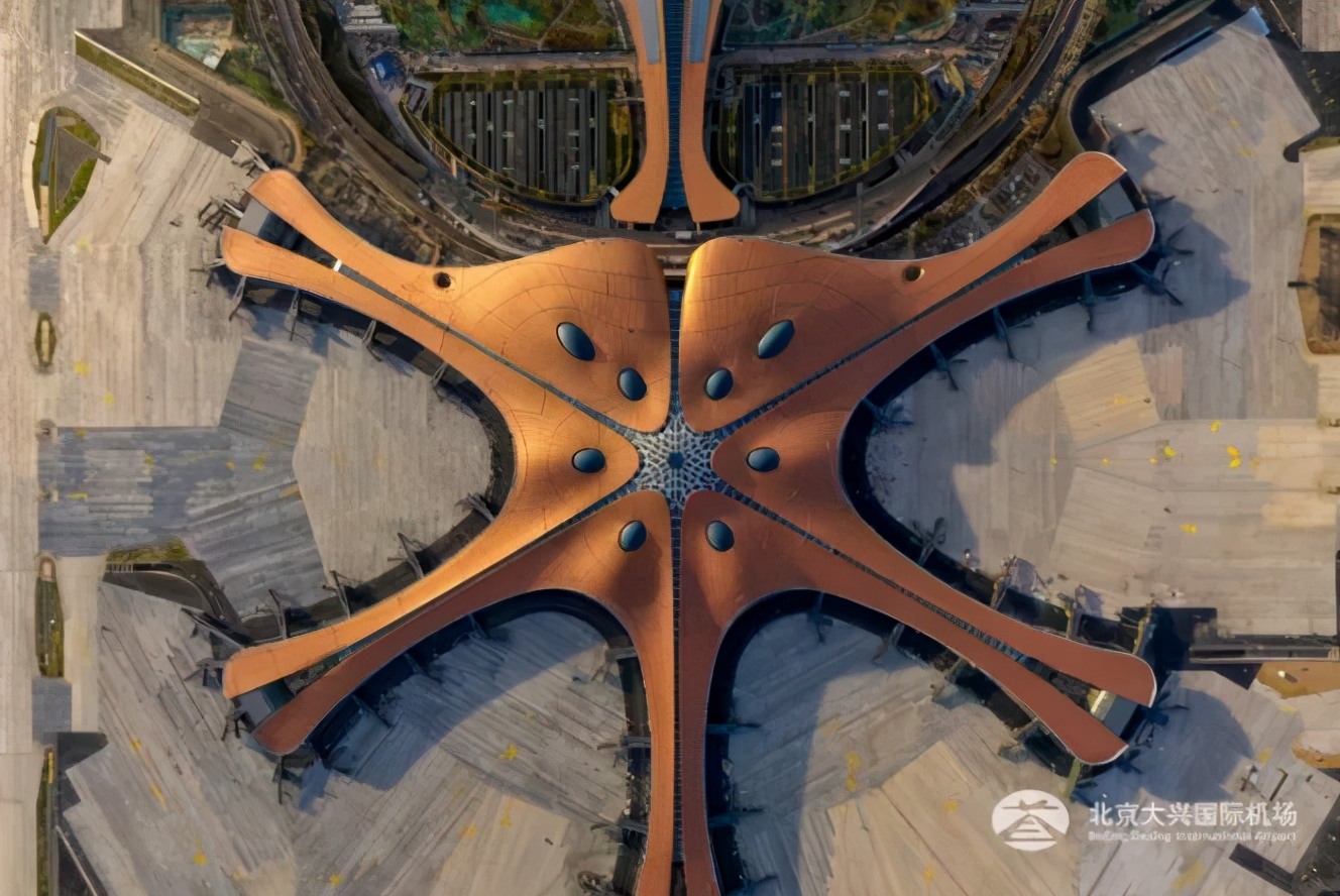 “半年五次随心飞，我还是没算清是赚还是亏”