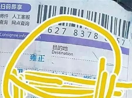 双11快递小哥的心情,双11快递小哥最新视频