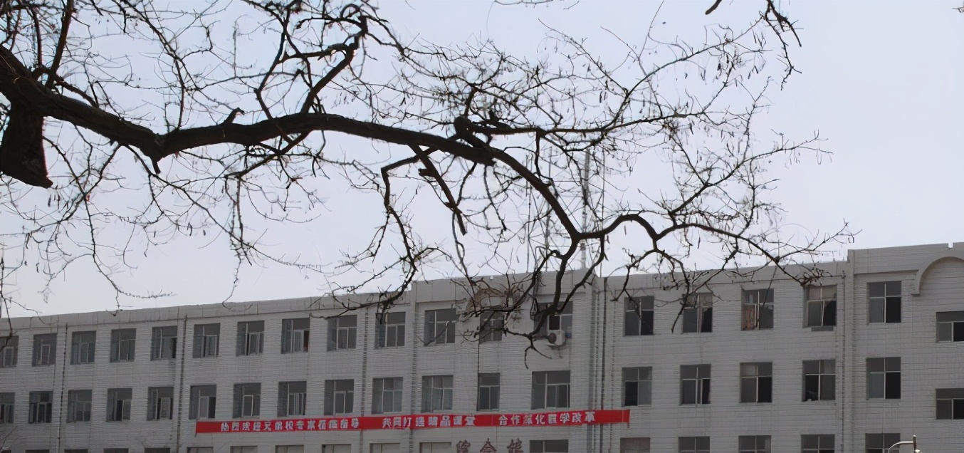 秦皇岛环境最好的学校,秦皇岛教学好的学校排名