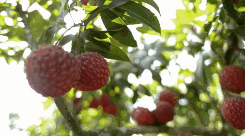 广州有靓仔吗,广州叫靓仔的地方