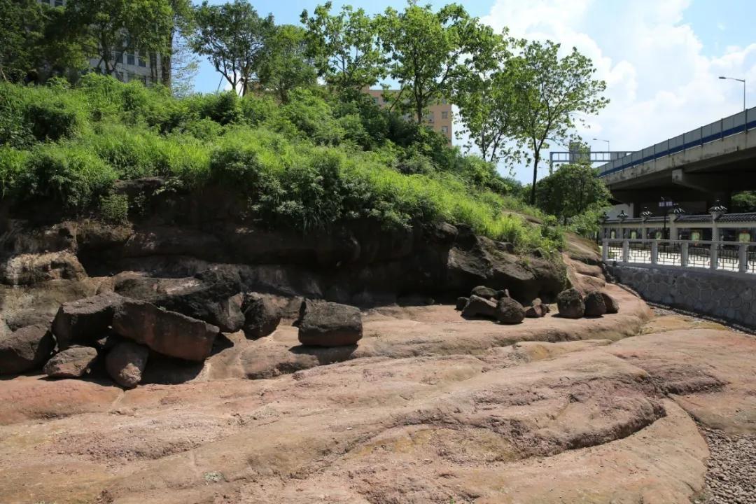 广州吃海鲜最便宜的地方2018年,广州的海鲜哪里又新鲜又便宜