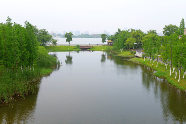 南昌动物园哪里有大象,南昌大象公园