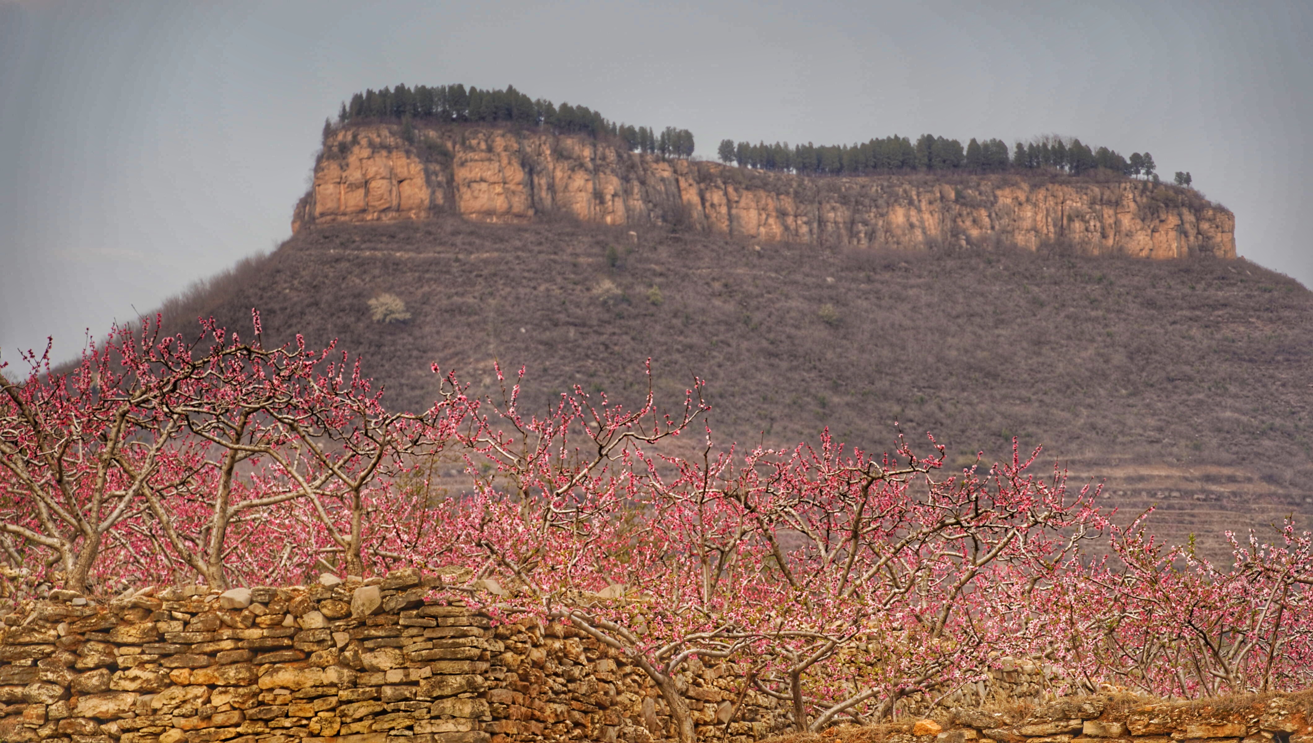 探访沂蒙山,蒙阴县岱崮镇岱崮地貌景区