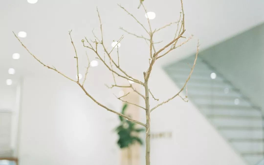 临近高考孩子情绪低落该如何鼓励,快高考了小孩情绪低落怎么办